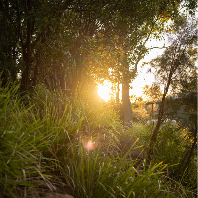 Untitled-1_0001_Epicure_Retreat_Dom-9