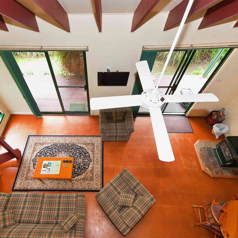 Untitled-1_0002_dsc_7849