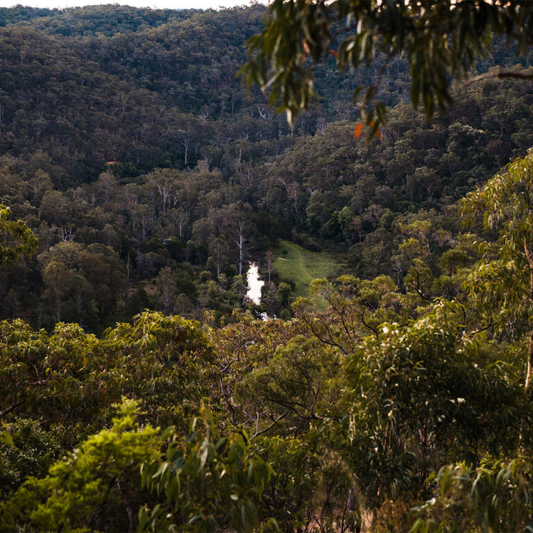 Untitled-1_0049_Epicure_Retreat_Dom-14